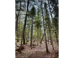0 King Lake, Machar, ON P0A1X0 Photo 39