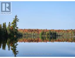 0 King Lake, Machar, ON P0A1X0 Photo 48