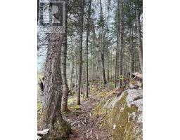 0 King Lake, Machar, ON P0A1X0 Photo 49