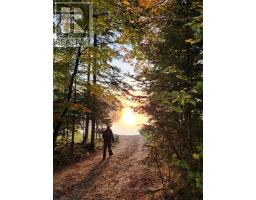 0 King Lake, Machar, ON P0A1X0 Photo 50