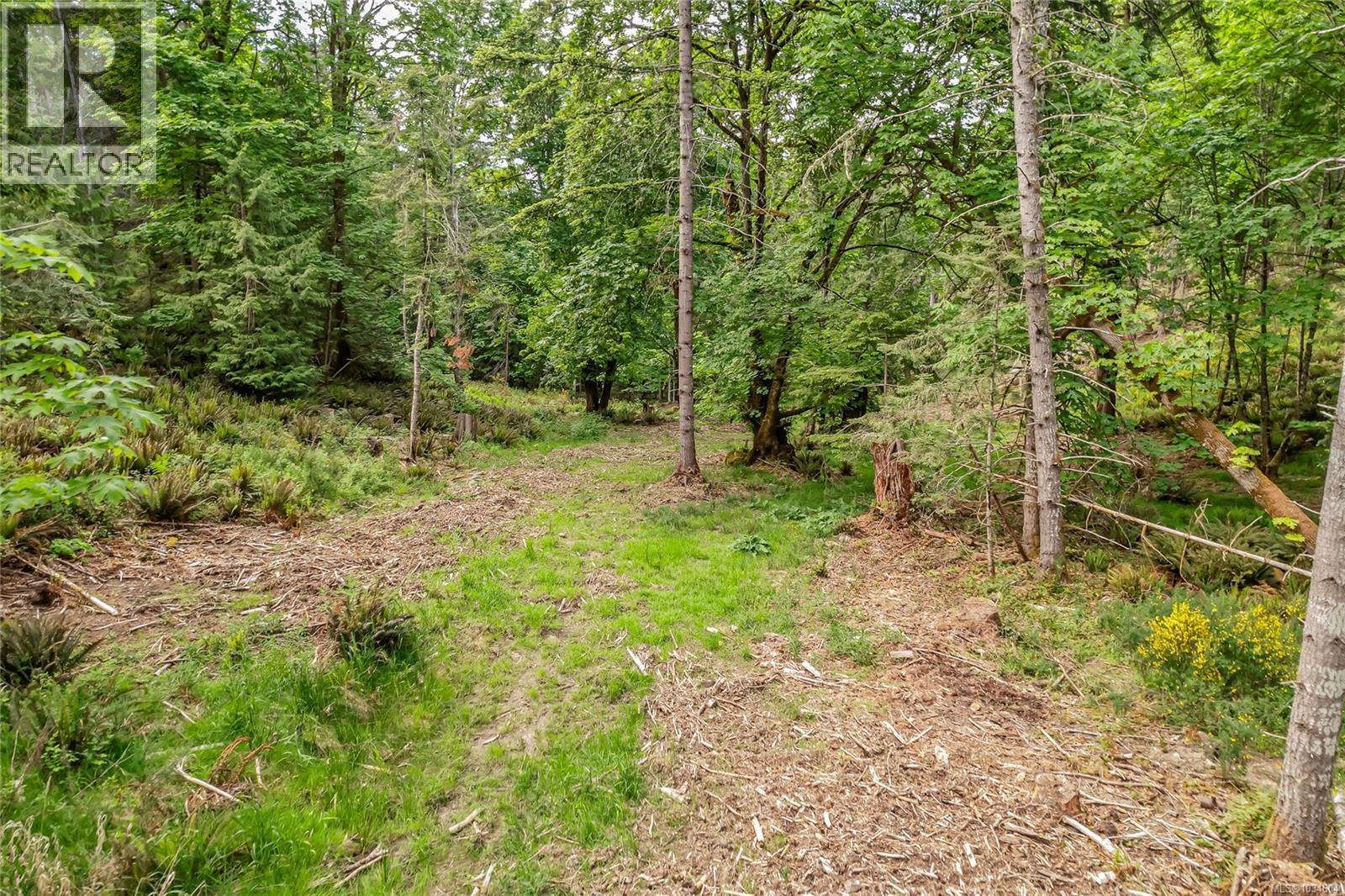 262 North View Pl - 39