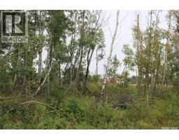 Brehaut Acreage, Martin Rm No  122, SK S0G3N0 Photo 30