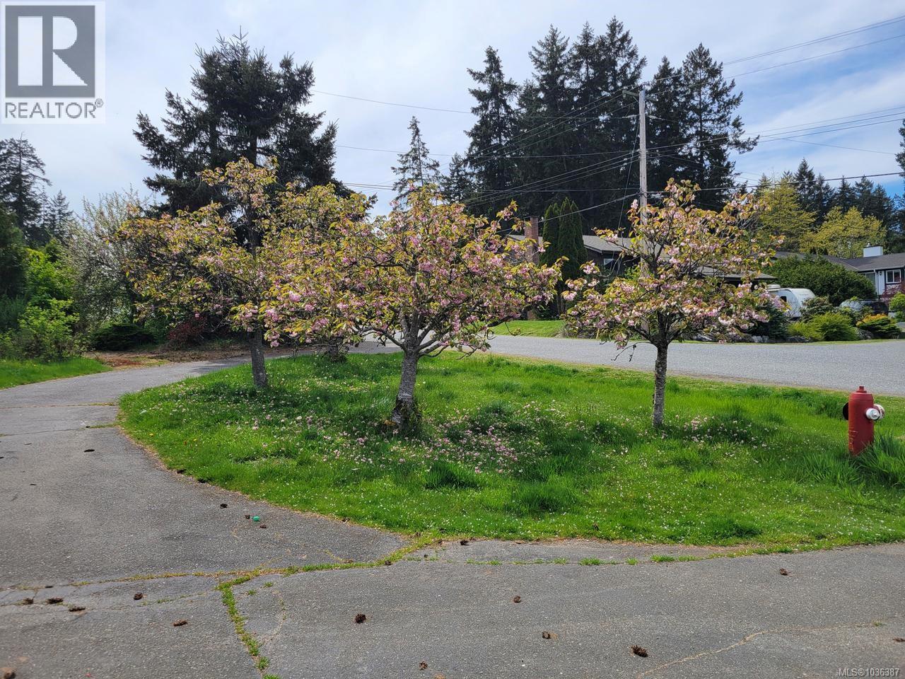 4611 McGill Rd - 20