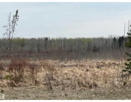 TWP 484 & RR84, Rural Brazeau County — photo 4