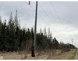 Twp 484 & Rr84, Rural Brazeau County, AB T7A2A1 Photo 9