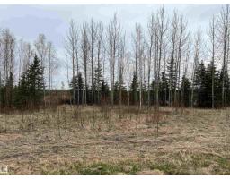 Twp 484 & Rr84, Rural Brazeau County, AB T7A2A1 Photo 7