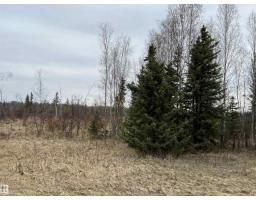 Twp 484 & Rr84, Rural Brazeau County, AB T7A2A1 Photo 6