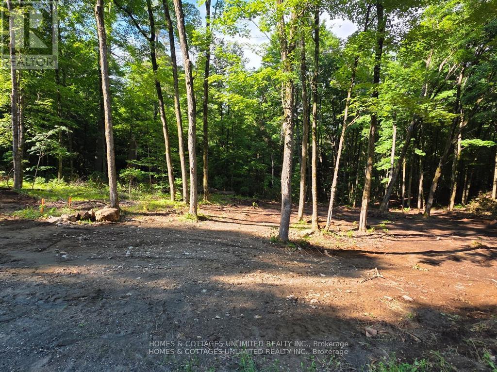 2456 CONC DALHOUSIE CONCESSION