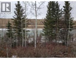 W:5 R:4 T:26 S:7 Q:se &ne,& Nw, Rural Rocky View County, AB T0L1N0 Photo 15