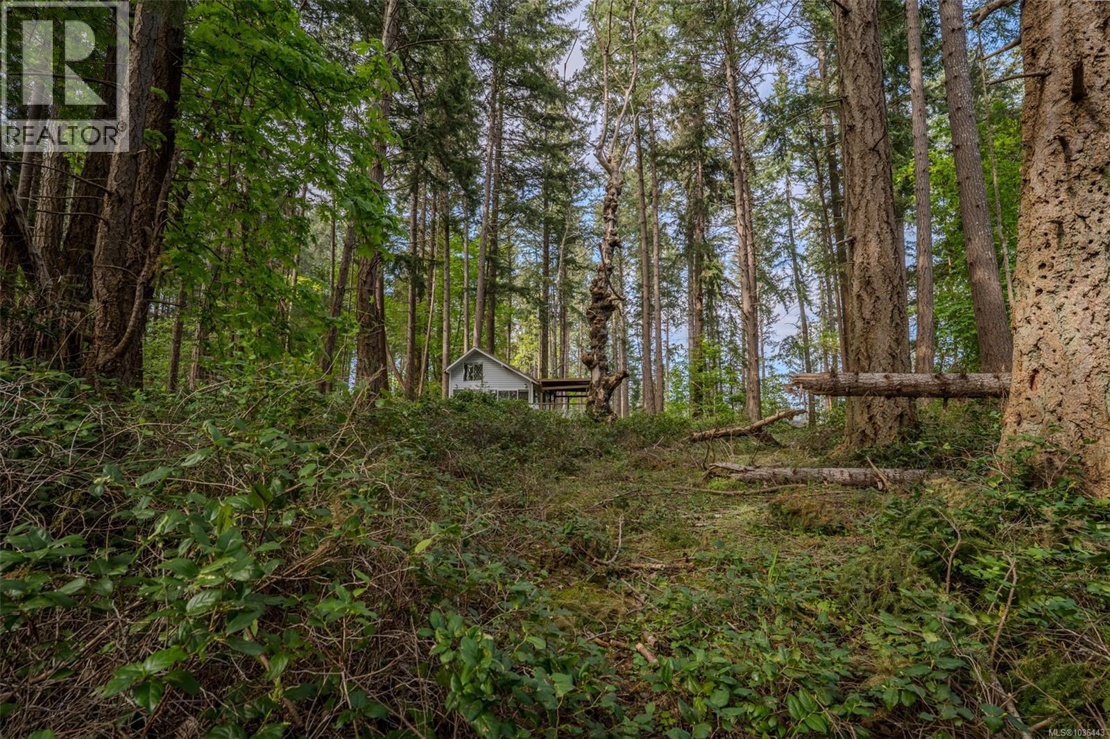 1085 Sea Fern Lane - 38