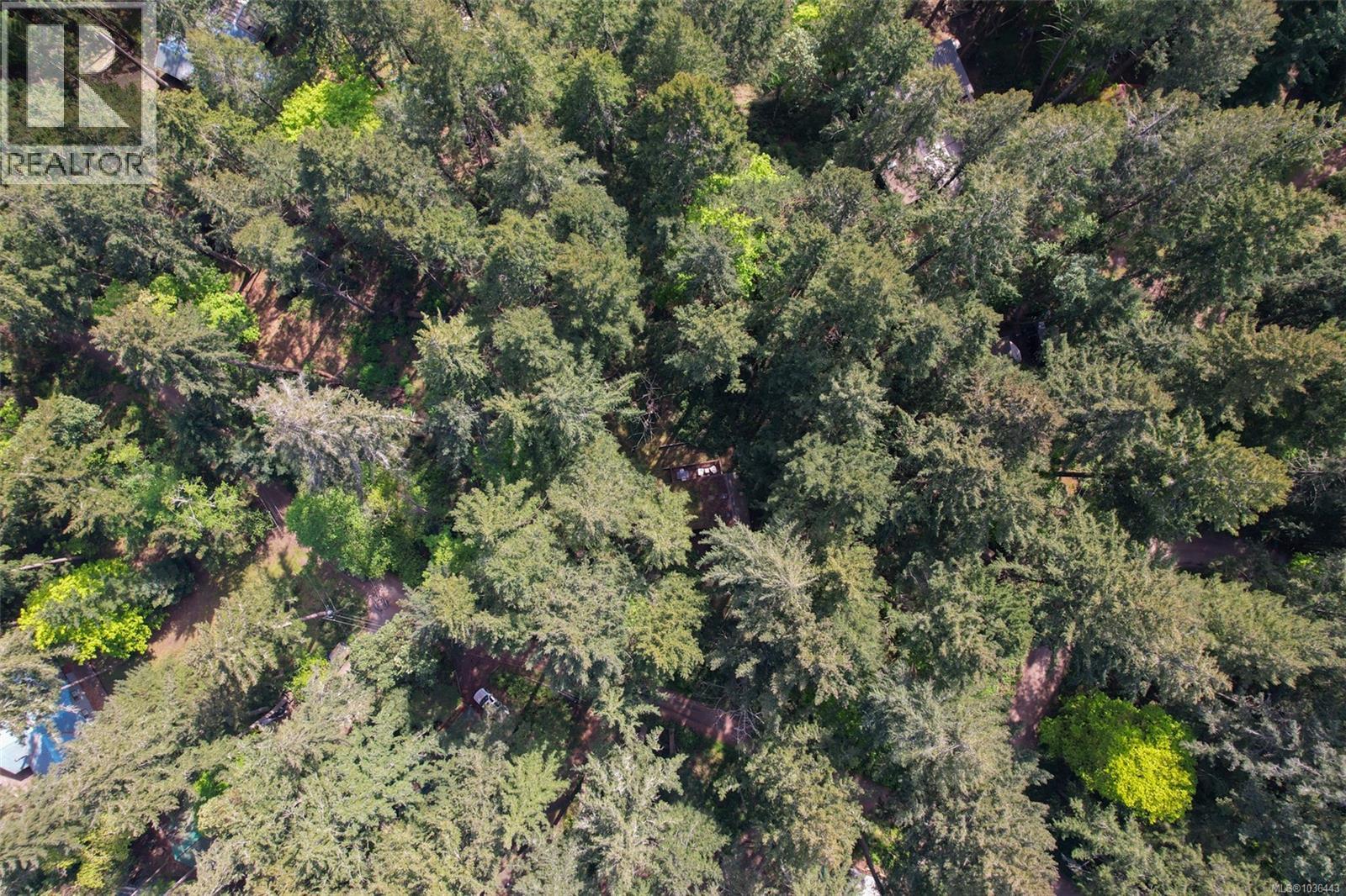 1085 Sea Fern Lane - 39