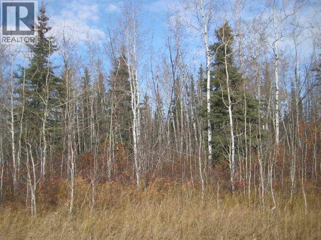 Township 920,  Range Road 223 — photo 12