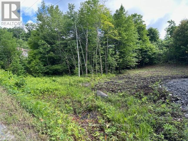 4 MCNAUGHTS ROAD, Seguin — photo 2