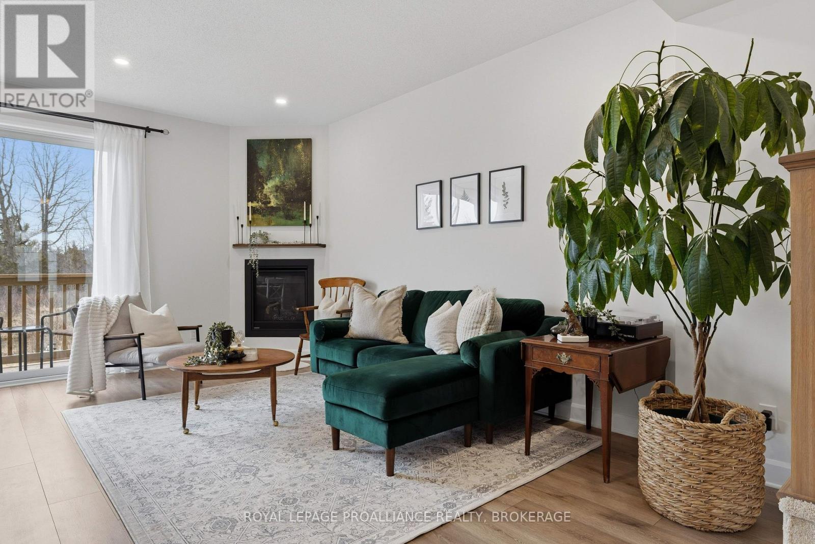 332 BUCKTHORN DRIVE - 13