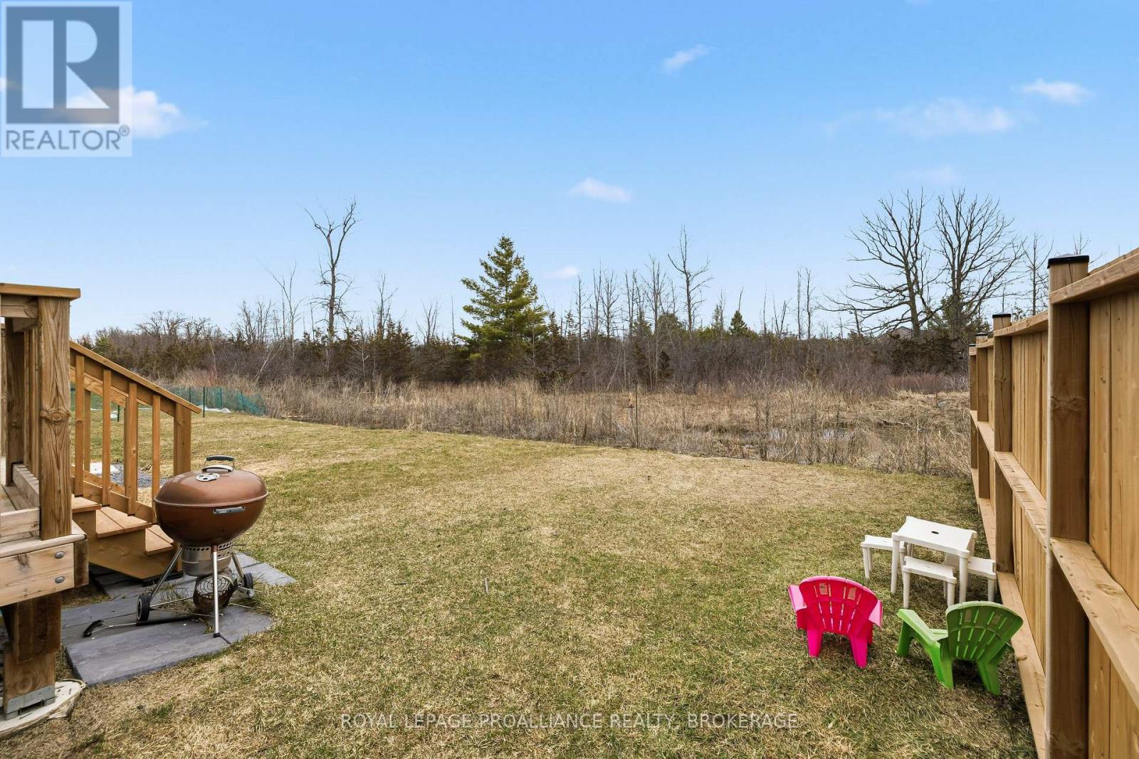332 BUCKTHORN DRIVE - 41