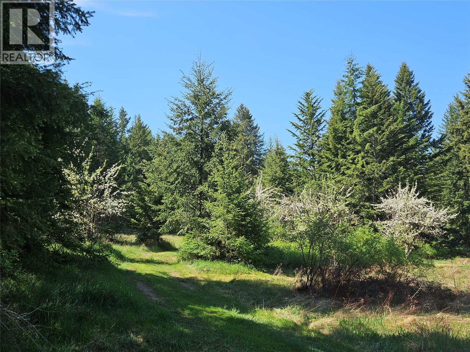 Vacant Land for Sale in Fauquier – 130 LOWER FAUQUIER Road - Image 8
