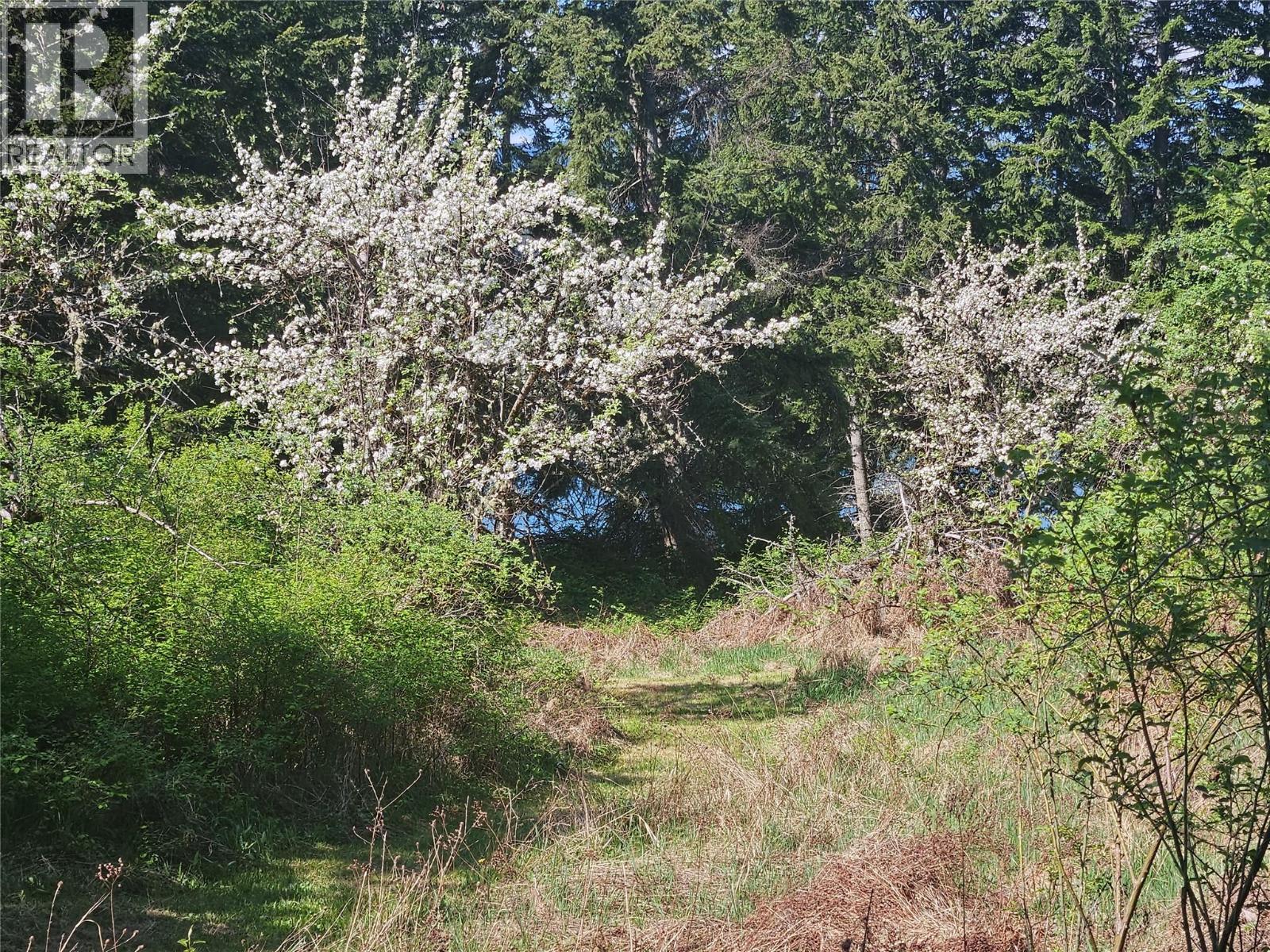 Vacant Land for Sale in Fauquier – 130 LOWER FAUQUIER Road - Image 11