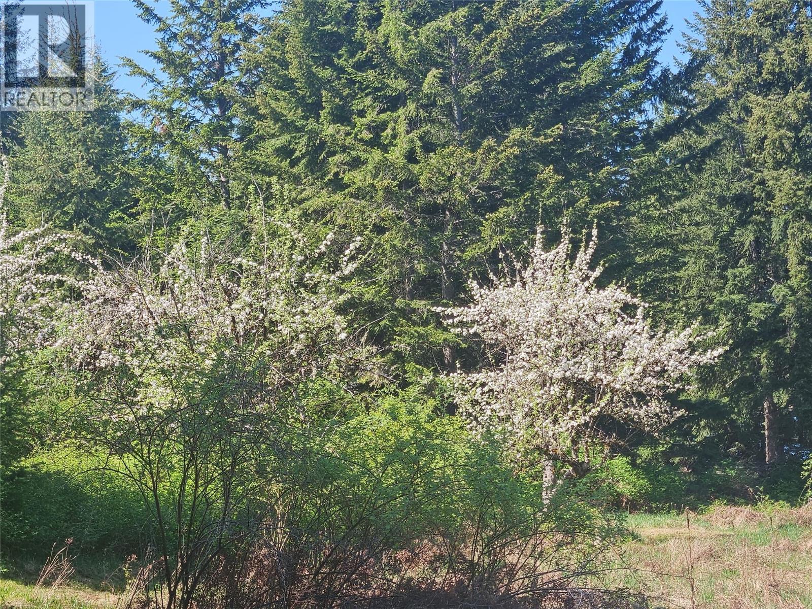 Vacant Land for Sale in Fauquier – 130 LOWER FAUQUIER Road - Image 9