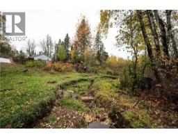 232 Route 905, Forest Glen, NB E4Z6C3 Photo 10