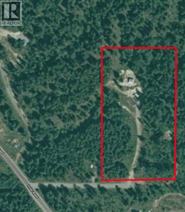 3033 Olive Road - 6