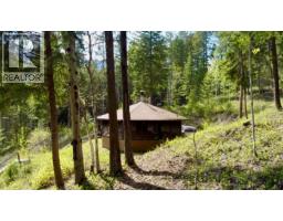 3033 Olive Road, Golden, BC V0A1H0 Photo 11