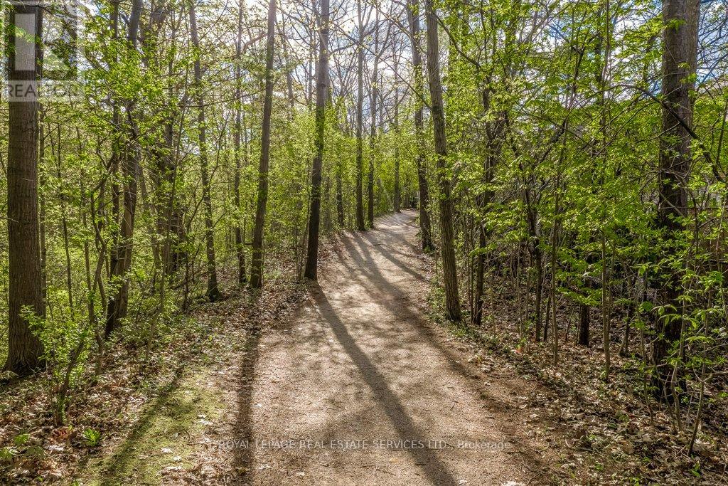 331 RAVINEVIEW WAY - 47