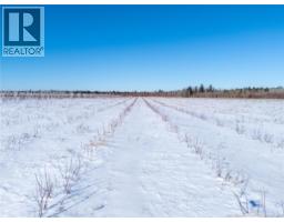 Lot Ch Perry, Sainte Anne De Kent, NB E4S1C4 Photo 10