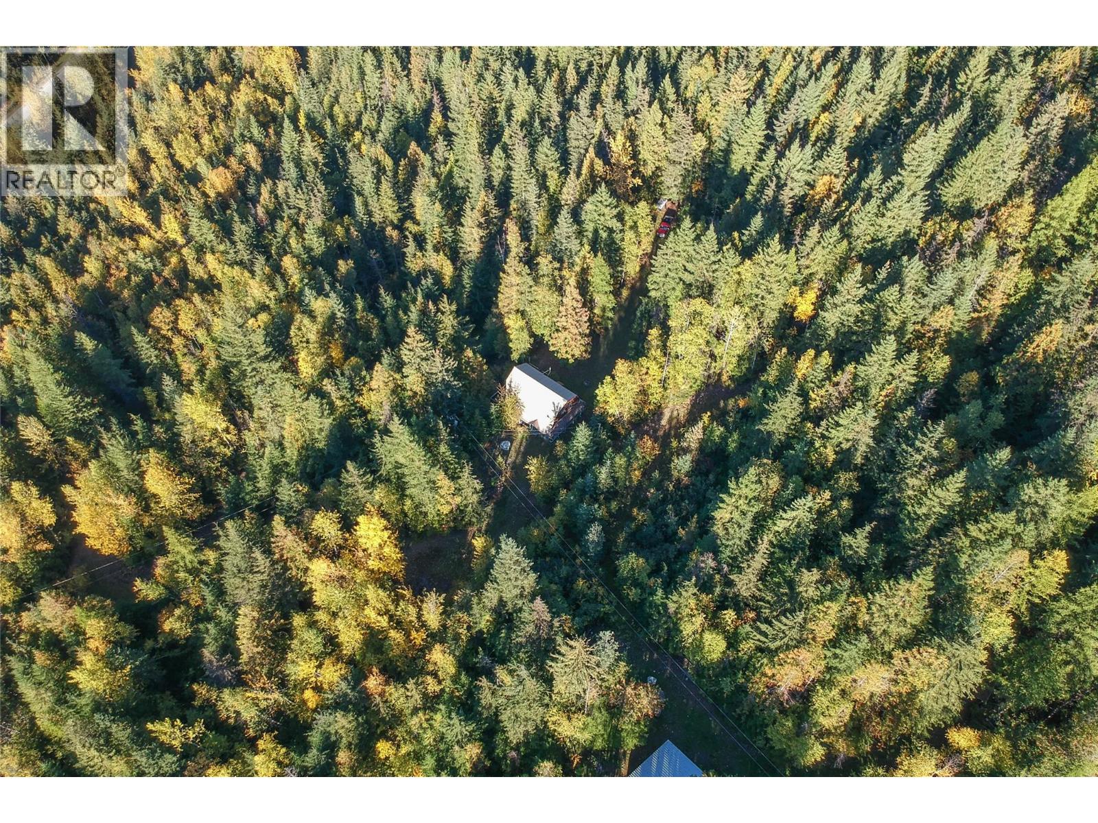 3217 Lumby Mabel Lake Road - 25