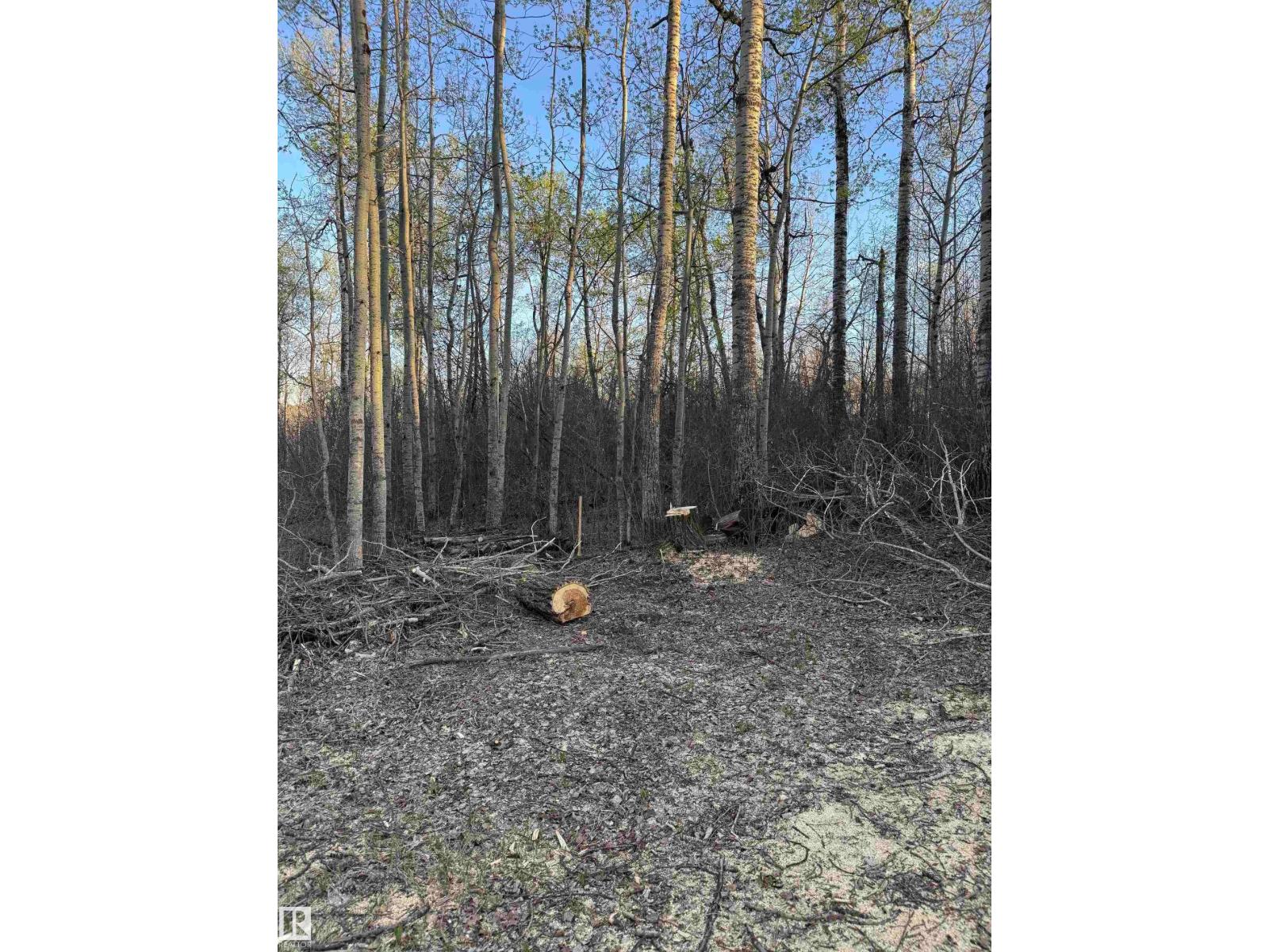 #30 1307 TWP ROAD 540, Rural Parkland County