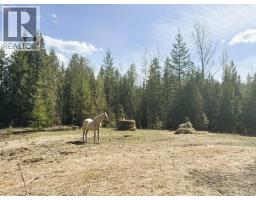 1425 Bobbie Burns Road, Lumby, BC V0E2C4 Photo 27