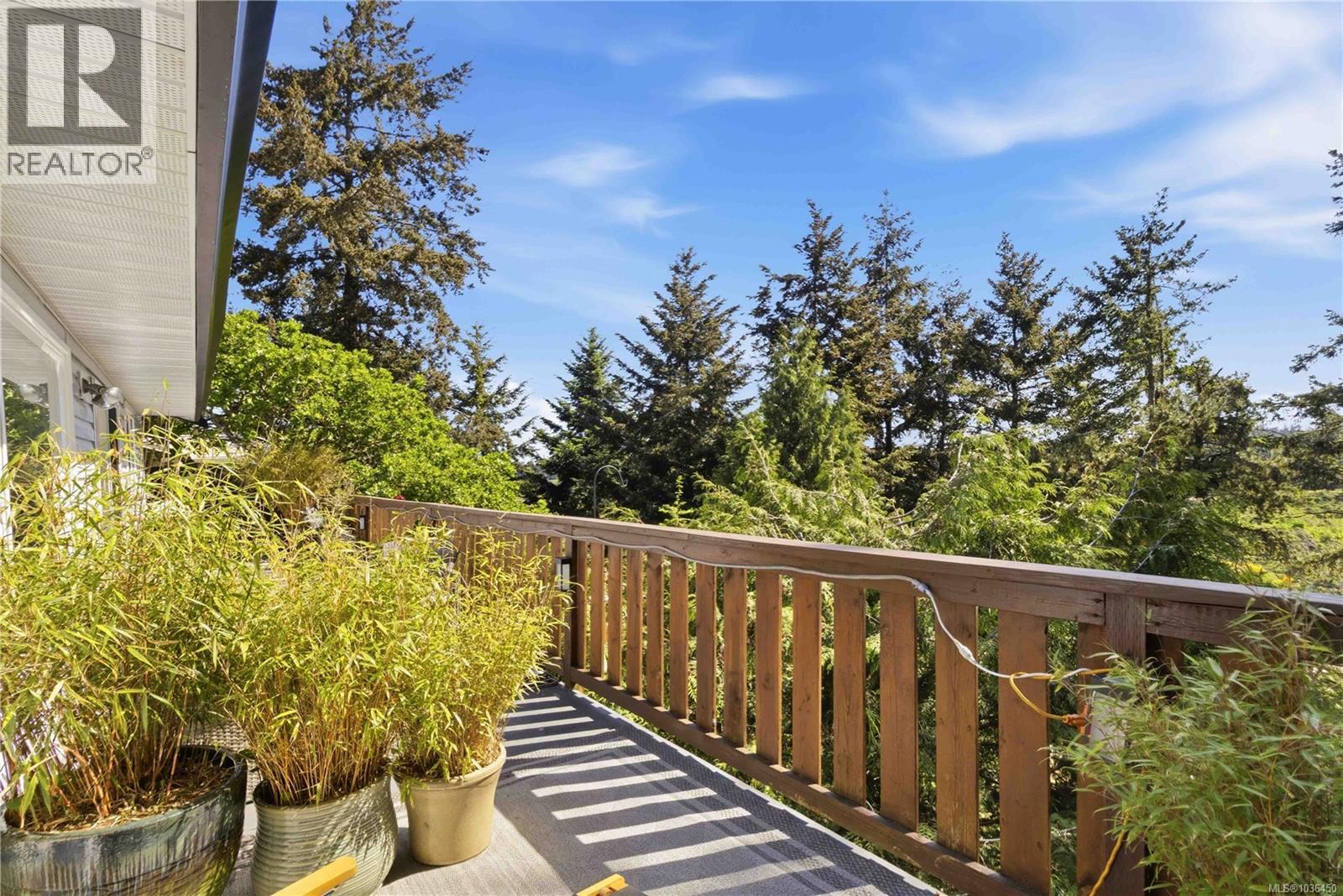 3291 Mary Anne Cres - 34