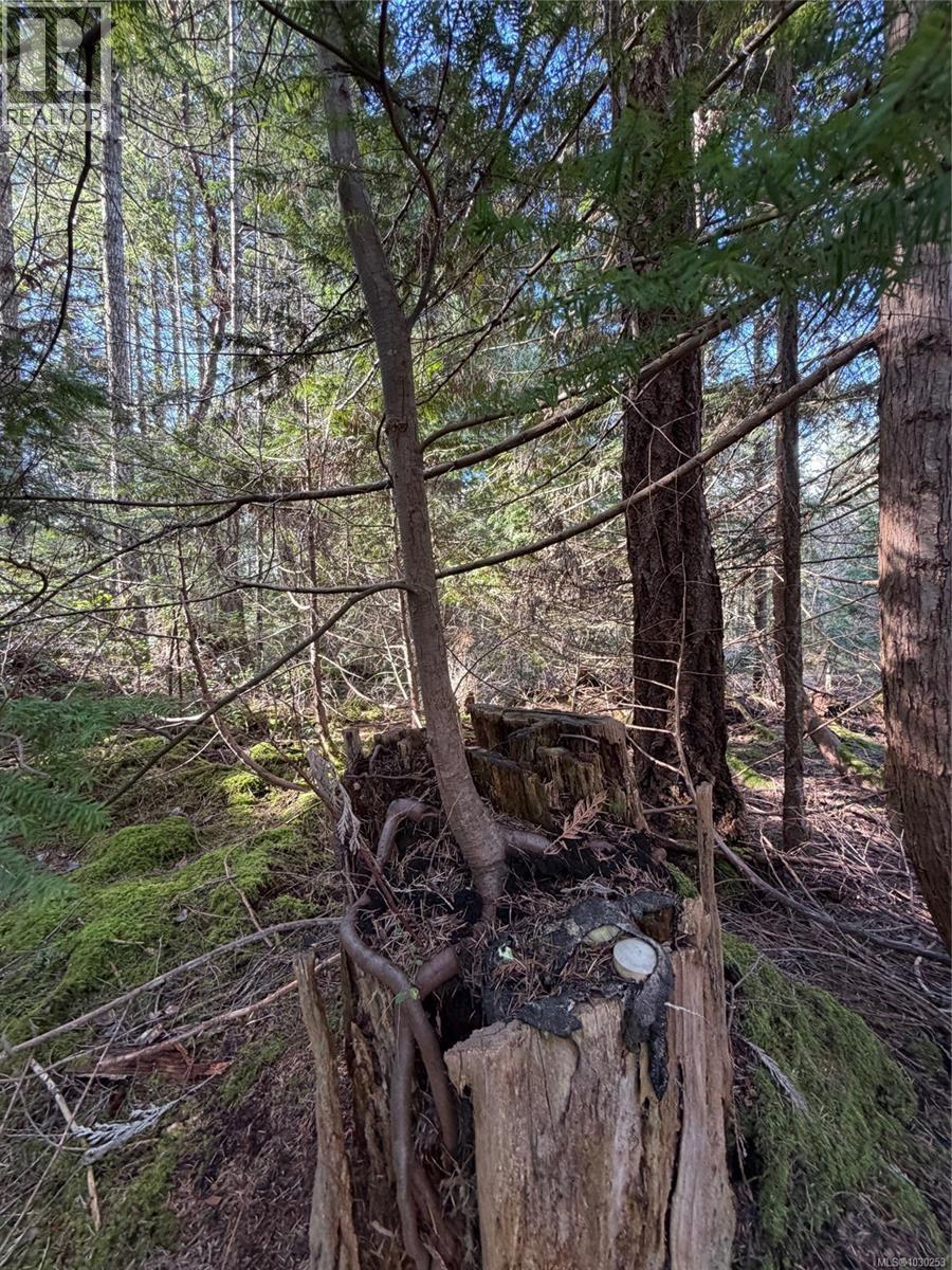 2359 Kendall Rd - 6