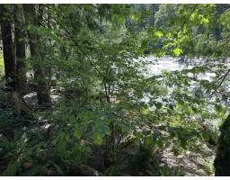 63560 Old Yale Road, Hope, Hope, BC V0X1L2 Photo 9
