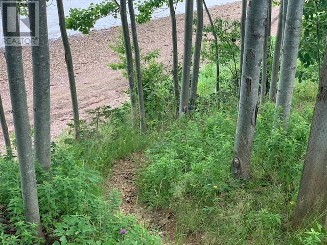 Property 33 of 35 of Lot 5-21 Cabot Trail Road