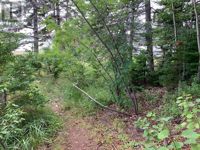 Property 18 of 35 of Lot 5-21 Cabot Trail Road