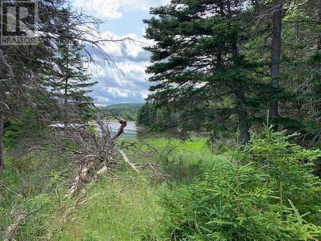 Property 31 of 35 of Lot 5-21 Cabot Trail Road