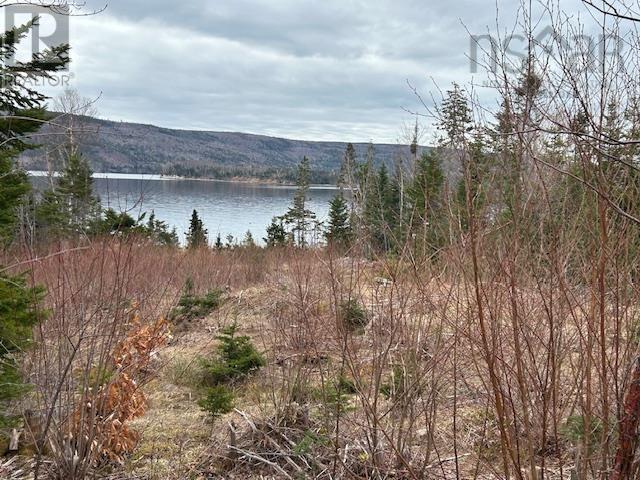 Property 29 of 35 of Lot 5-21 Cabot Trail Road
