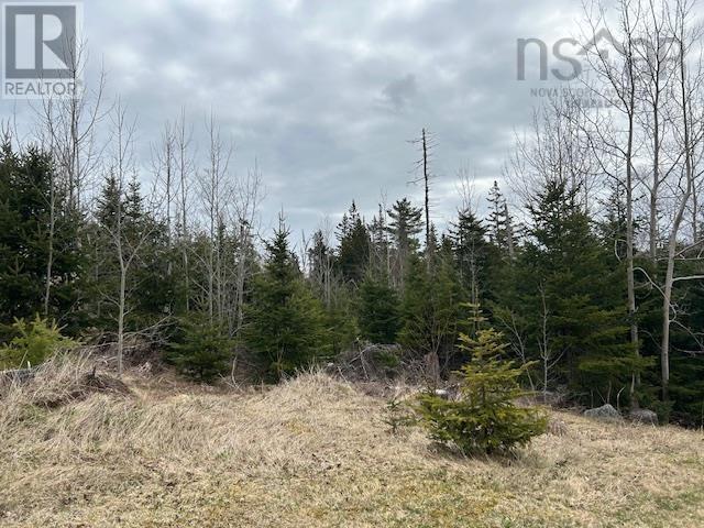 Property 19 of 35 of Lot 5-21 Cabot Trail Road
