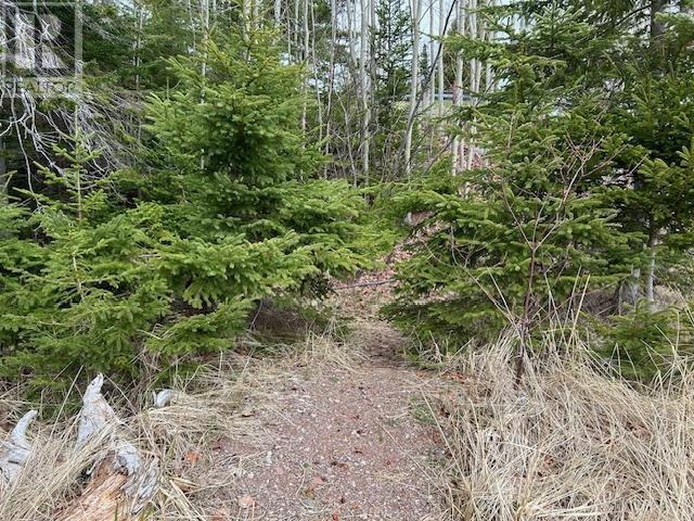 Property 16 of 35 of Lot 5-21 Cabot Trail Road