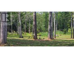 239 Upper River John Road, Waughs River, NS B0K1V0 Photo 34