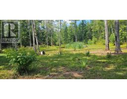 239 Upper River John Road, Waughs River, NS B0K1V0 Photo 33