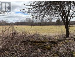 Ptlt 20 Con 8 (9th Line), Amaranth, ON L9W0H4 Photo 8