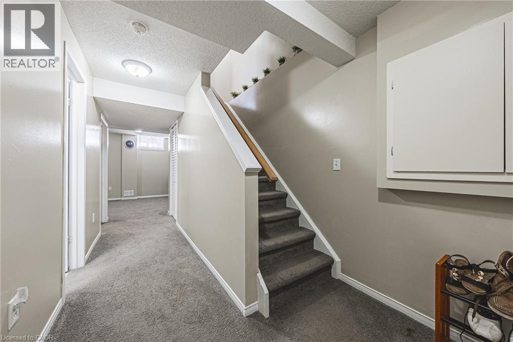 15 LARDNER Street - 26