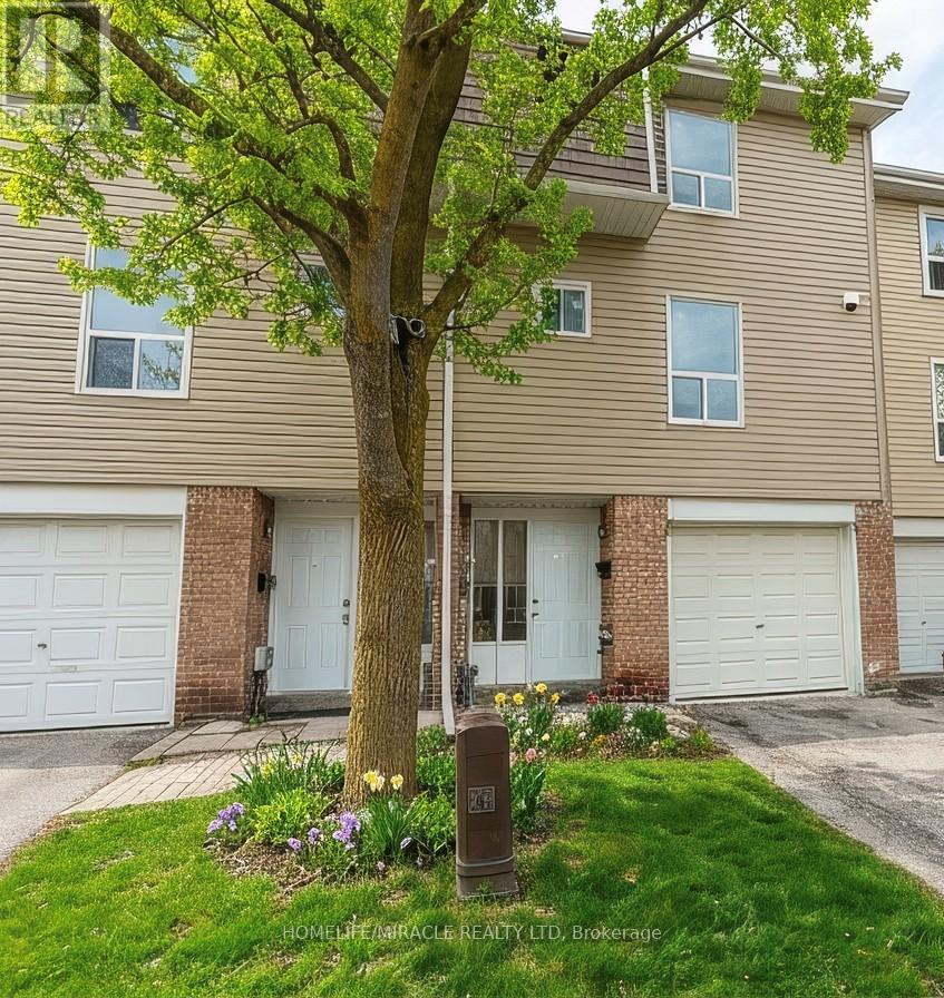 40 ELLIS DRIVE - 1