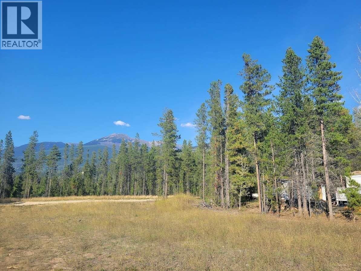 1112 14TH AVENUE, Valemount — photo 3
