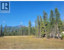 1112 14th Avenue, Valemount, BC V0E2Z0 Photo 9