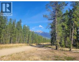 1112 14th Avenue, Valemount, BC V0E2Z0 Photo 12