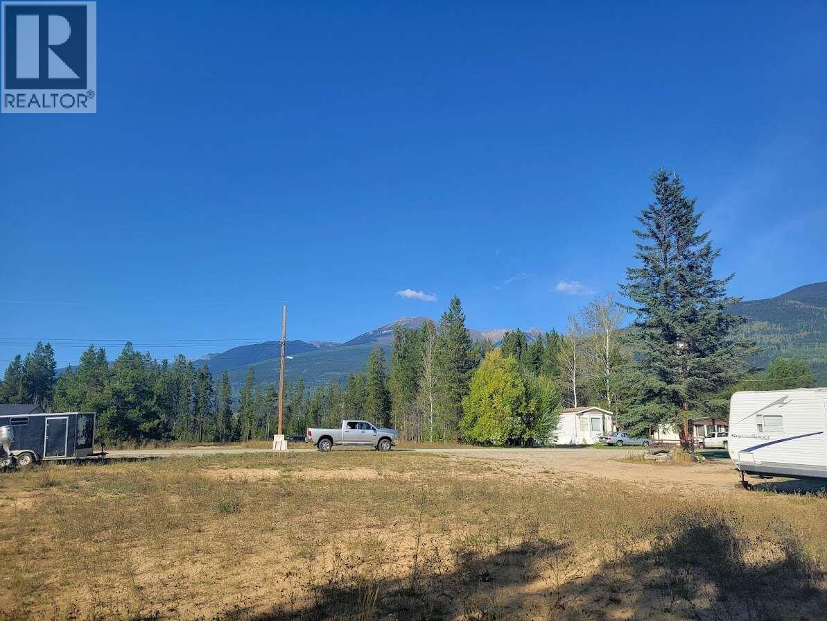 1123 14TH AVENUE, Valemount — photo 3