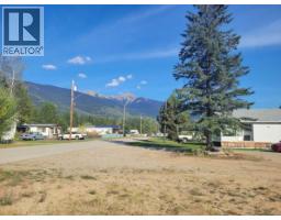 1123 14th Avenue, Valemount, BC V0E2Z0 Photo 7