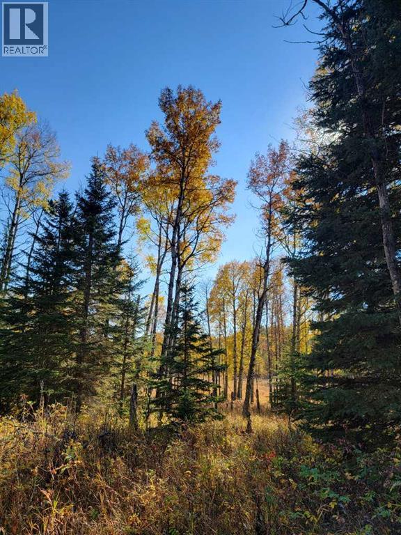 36057 Range Road 43 — photo 33